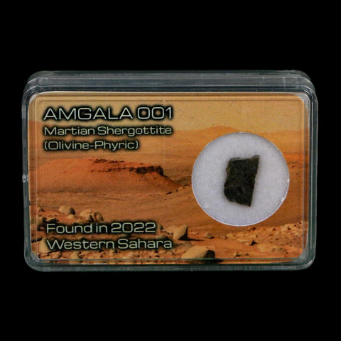Mars Rock Martian Meteorite Amgala 001 Shergottite Olivine-Phyric Display - Fossil Age Minerals