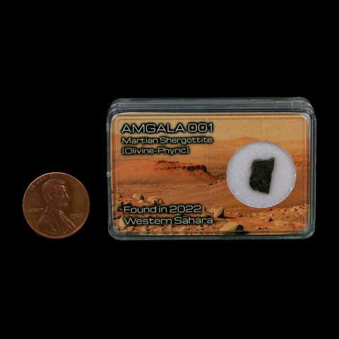 Mars Rock Martian Meteorite Amgala 001 Shergottite Olivine-Phyric Display - Fossil Age Minerals