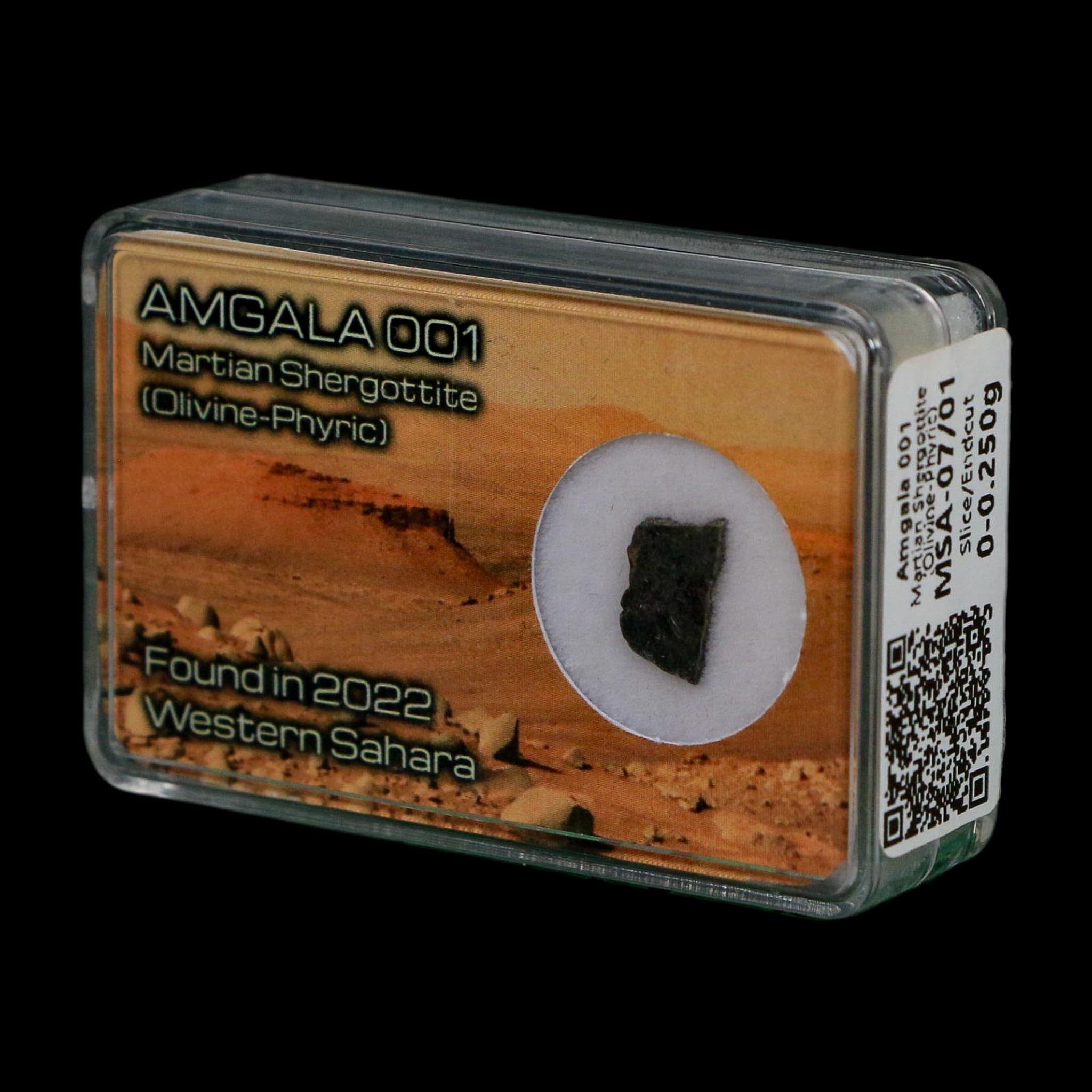 Mars Rock Martian Meteorite Amgala 001 Shergottite Olivine-Phyric Display