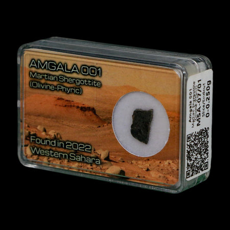 Mars Rock Martian Meteorite Amgala 001 Shergottite Olivine-Phyric Display