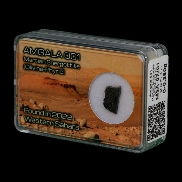 Mars Rock Martian Meteorite Amgala 001 Shergottite Olivine-Phyric Display