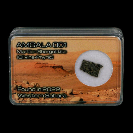 Mars Rock Martian Meteorite Amgala 001 Shergottite Olivine-Phyric Display