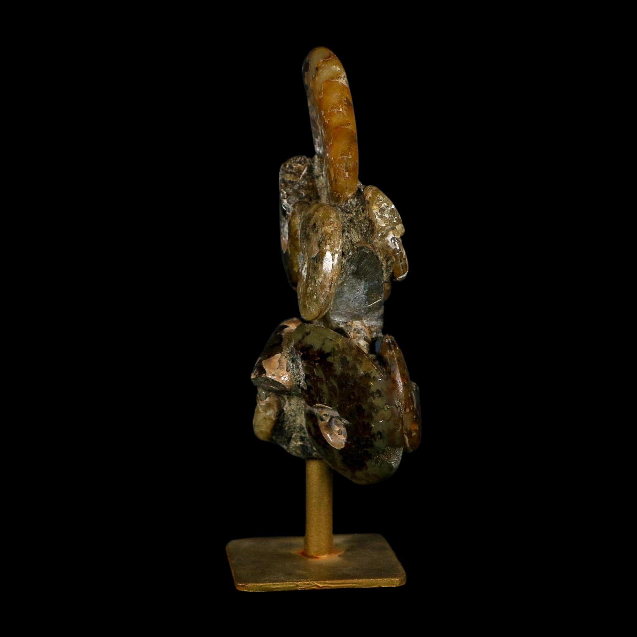 4.6" Cleoniceras Ammonite Fossil Cluster on Stand Madagascar Jurassic Age - Fossil Age Minerals