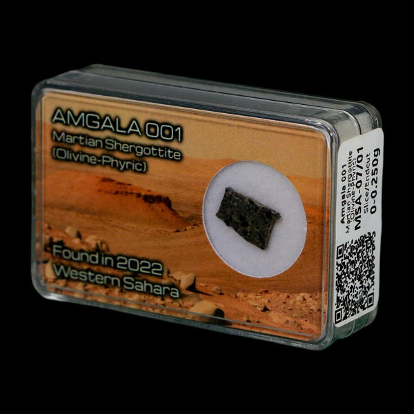 Mars Rock Martian Meteorite Amgala 001 Shergottite Olivine-Phyric Display