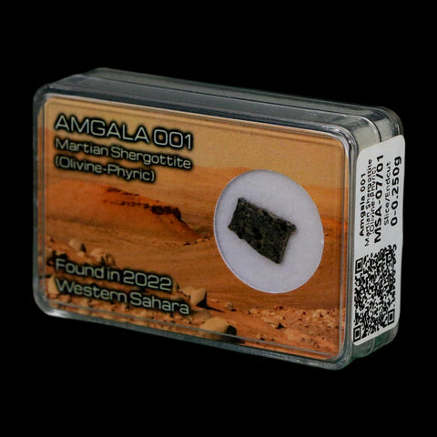 Mars Rock Martian Meteorite Amgala 001 Shergottite Olivine-Phyric Display - Fossil Age Minerals