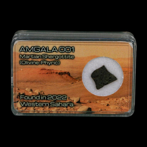 Mars Rock Martian Meteorite Amgala 001 Shergottite Olivine-Phyric Display - Fossil Age Minerals