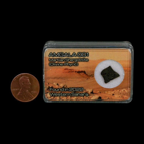 Mars Rock Martian Meteorite Amgala 001 Shergottite Olivine-Phyric Display - Fossil Age Minerals