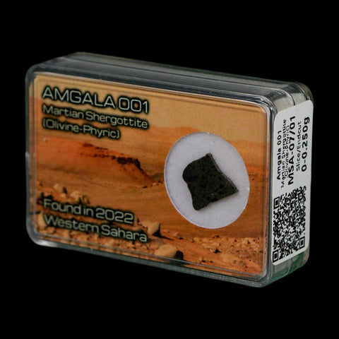 Mars Rock Martian Meteorite Amgala 001 Shergottite Olivine-Phyric Display - Fossil Age Minerals
