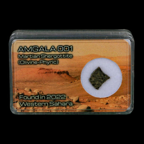 Mars Rock Martian Meteorite Amgala 001 Shergottite Olivine-Phyric Display - Fossil Age Minerals