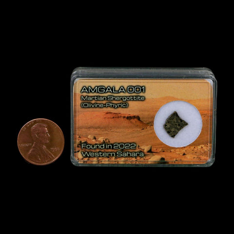 Mars Rock Martian Meteorite Amgala 001 Shergottite Olivine-Phyric Display - Fossil Age Minerals