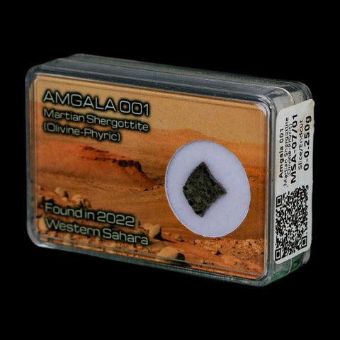 Mars Rock Martian Meteorite Amgala 001 Shergottite Olivine-Phyric Display - Fossil Age Minerals