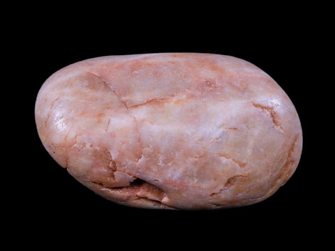 2.3" Sauropod Dinosaur Stomach Stone Gastrolith Rock Gizzard Stone COA - Fossil Age Minerals