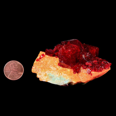 2.9" Stunning Red Pruskite Yellow Base Crystal Mineral Specimen From Poland - Fossil Age Minerals