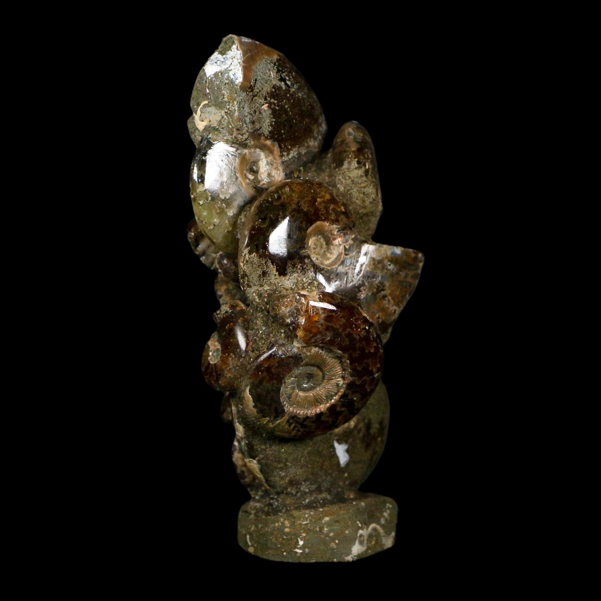 3.9" Iridescent Red Cleoniceras Ammonites Fossil Cluster on Stand Jurassic Age
