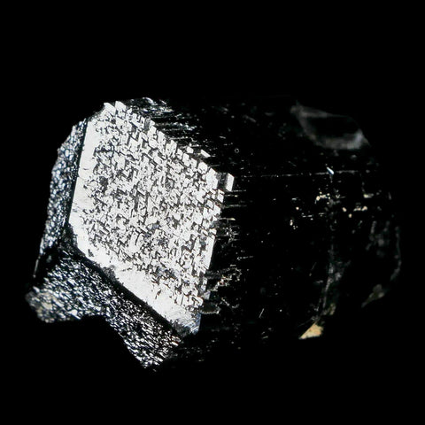 1.6" Natural Rough Schorl Black Tourmaline Mineral Erongo Mountains, Namibia - Fossil Age Minerals