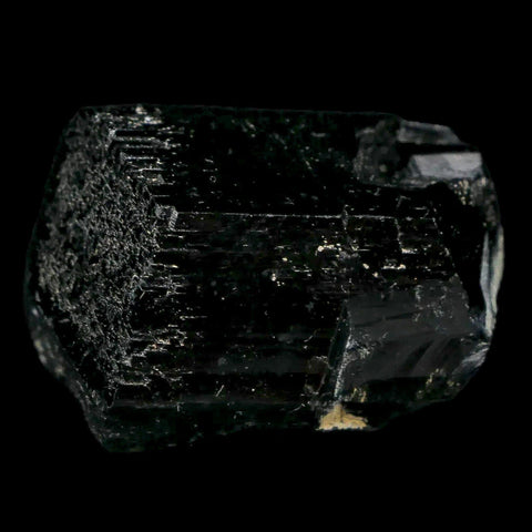 1.6" Natural Rough Schorl Black Tourmaline Mineral Erongo Mountains, Namibia - Fossil Age Minerals