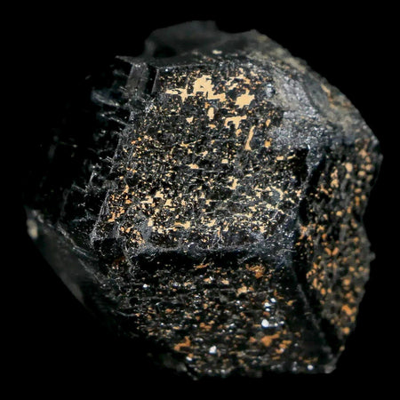 1.2" Natural Rough Schorl Black Tourmaline Mineral Erongo Mountains, Namibia