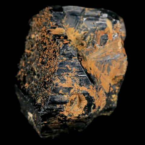 1.2" Natural Rough Schorl Black Tourmaline Mineral Erongo Mountains, Namibia - Fossil Age Minerals