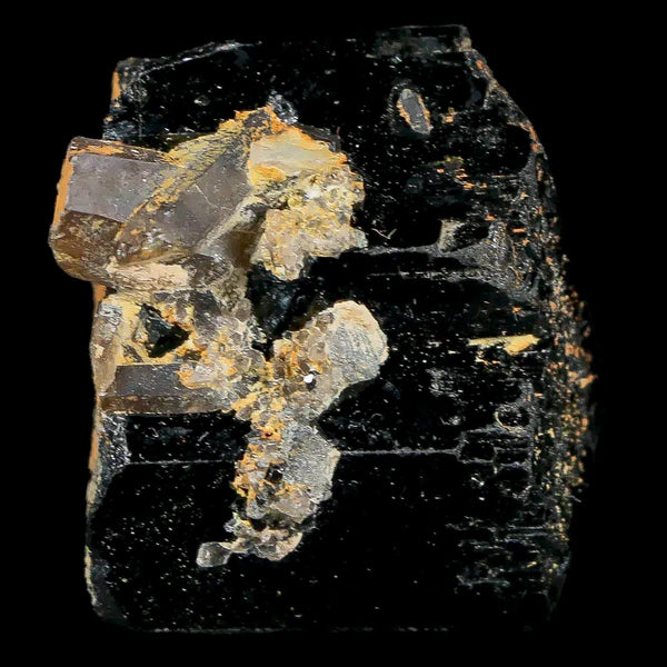 1.2