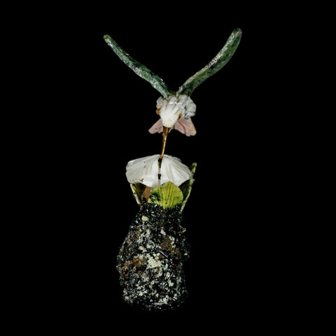 3.6" Hand Carved Bird Perched on Quartz, Black Tourmaline Crystals Hummingbird Peru