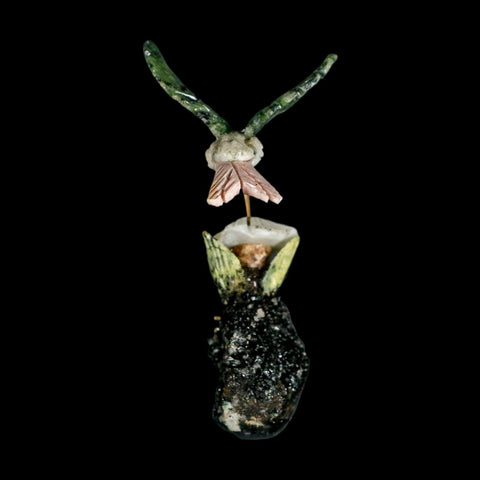 3.6" Hand Carved Bird Perched on Quartz, Black Tourmaline Crystals Hummingbird Peru