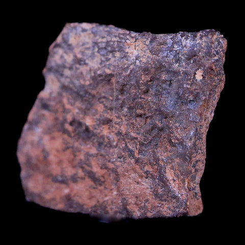 0.5" Hypselosaurus Titanosaur Dinosaur Fossil Egg Shell Aix Basin France Display - Fossil Age Minerals