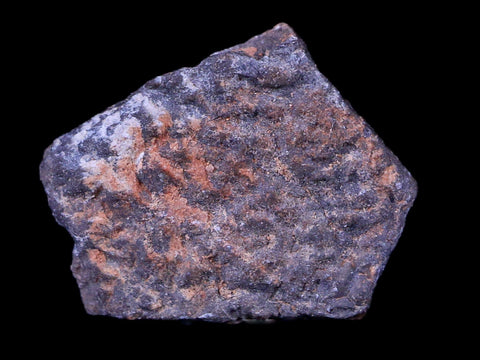 0.5" Hypselosaurus Titanosaur Dinosaur Fossil Egg Shell Aix Basin France Display - Fossil Age Minerals