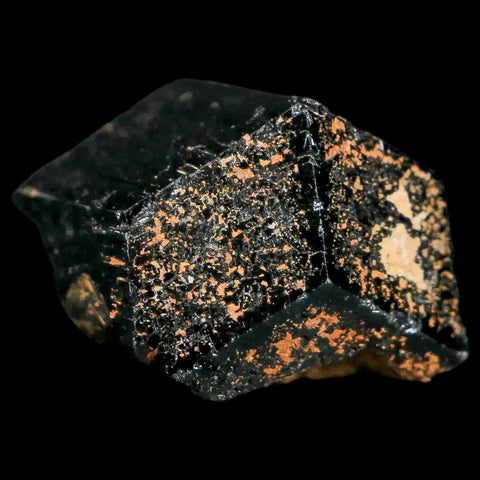 1.2" Natural Rough Schorl Black Tourmaline Mineral Erongo Mountains, Namibia - Fossil Age Minerals
