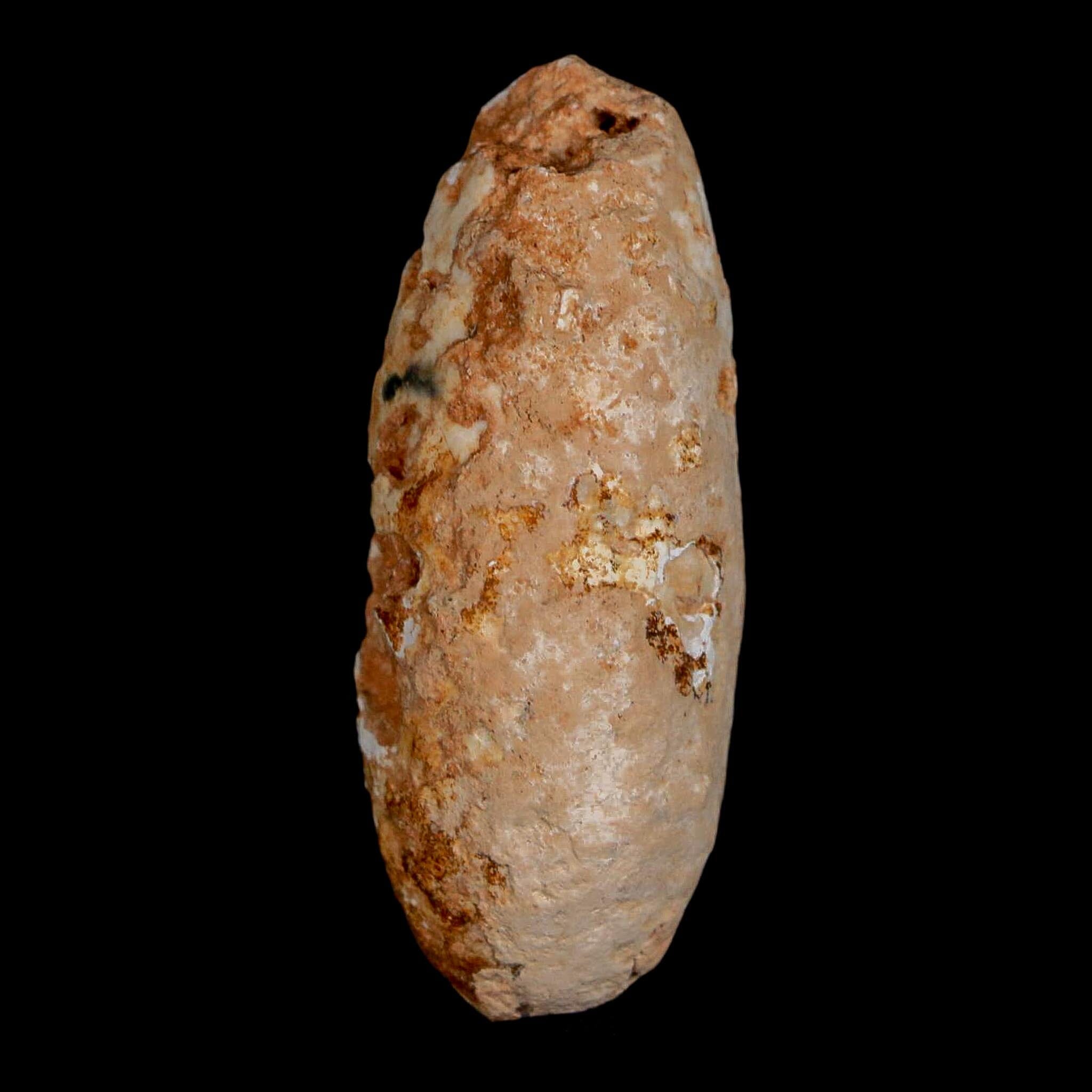 2" Fossil Pine Cone Equicalastrobus Replaced By Agate Eocene Age Seeds Fruit - Fossil Age Minerals