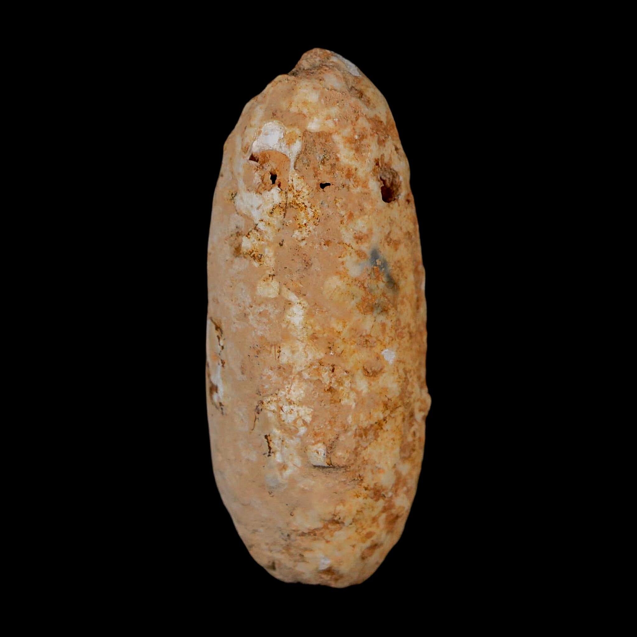 2" Fossil Pine Cone Equicalastrobus Replaced By Agate Eocene Age Seeds Fruit - Fossil Age Minerals