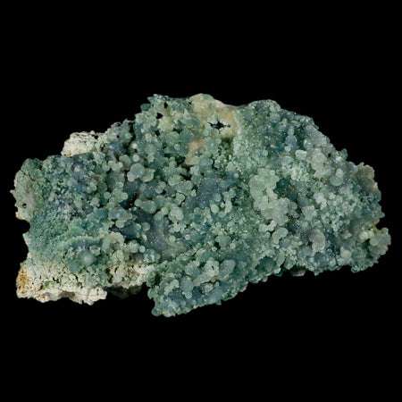 XL 5.3" Green Grape Agate Botryoidal Crystal Druzy Cluster Mineral Sulawesi Island