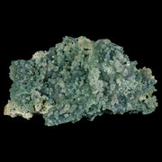 XL 5.3" Green Grape Agate Botryoidal Crystal Druzy Cluster Mineral Sulawesi Island