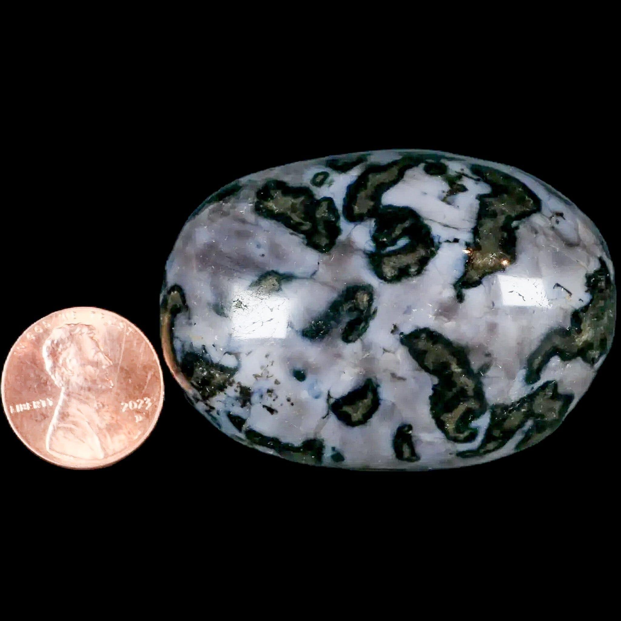 2.1" Natural Gabbro Polished Palm Stone Mineral Calcium Plagioclase Madagascar - Fossil Age Minerals