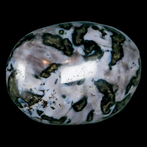 2.1" Natural Gabbro Polished Palm Stone Mineral Calcium Plagioclase Madagascar - Fossil Age Minerals