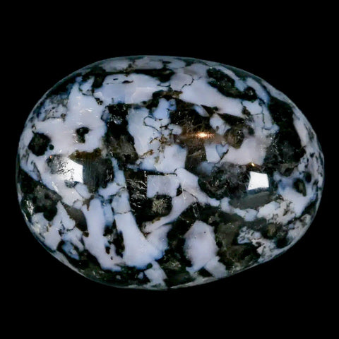 2" Natural Gabbro Polished Palm Stone Mineral Calcium Plagioclase Madagascar - Fossil Age Minerals