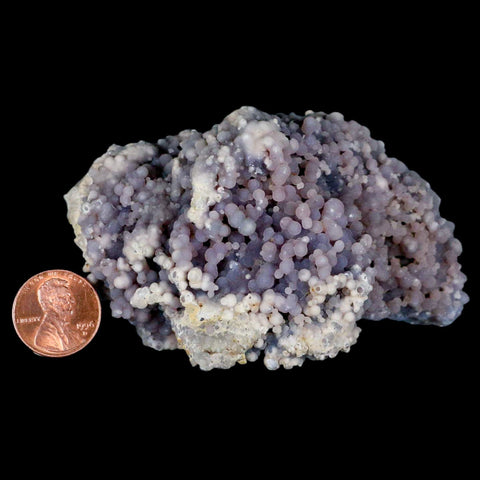 3.6" Purple Grape Agate Botryoidal Crystal Druzy Cluster Mineral Sulawesi Island - Fossil Age Minerals