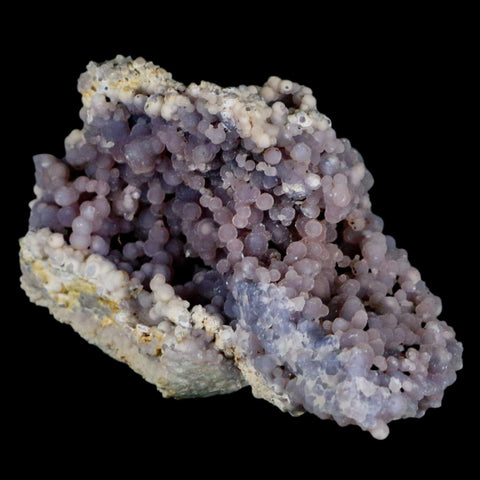 3.6" Purple Grape Agate Botryoidal Crystal Druzy Cluster Mineral Sulawesi Island - Fossil Age Minerals