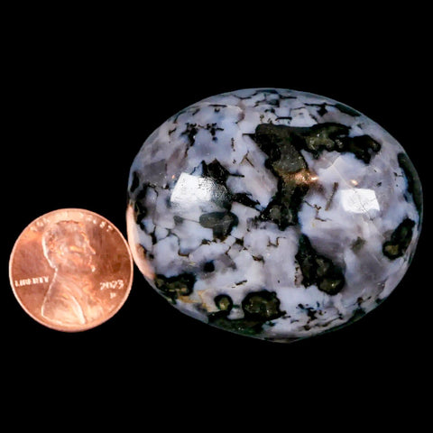 1.7" Natural Gabbro Polished Palm Stone Mineral Calcium Plagioclase Madagascar - Fossil Age Minerals