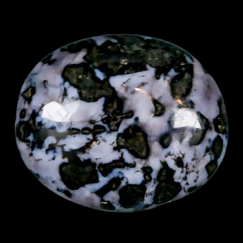 1.7" Natural Gabbro Polished Palm Stone Mineral Calcium Plagioclase Madagascar - Fossil Age Minerals
