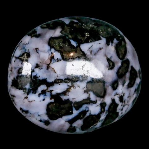 1.7" Natural Gabbro Polished Palm Stone Mineral Calcium Plagioclase Madagascar - Fossil Age Minerals