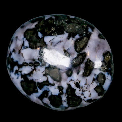 1.7" Natural Gabbro Polished Palm Stone Mineral Calcium Plagioclase Madagascar - Fossil Age Minerals