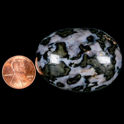 1.9" Natural Gabbro Polished Palm Stone Mineral Calcium Plagioclase Madagascar - Fossil Age Minerals