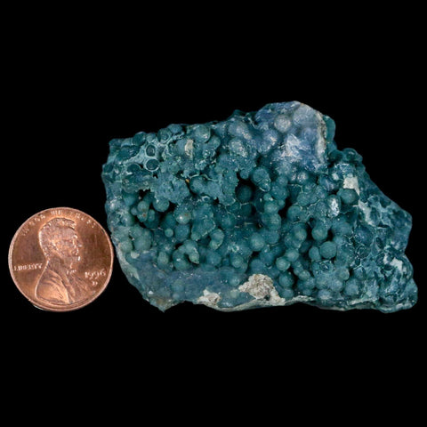 2.3" Green Grape Agate Botryoidal Crystal Druzy Cluster Mineral Sulawesi Island - Fossil Age Minerals