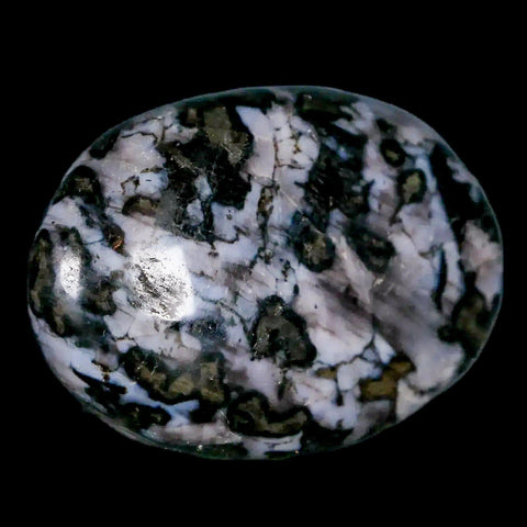 2.1" Natural Gabbro Polished Palm Stone Mineral Calcium Plagioclase Madagascar - Fossil Age Minerals