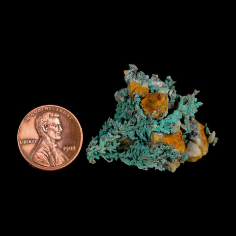 1.5" Rough Native Copper And Crystal Quartz Matrix Mineral Specimen Morocco - Fossil Age Minerals
