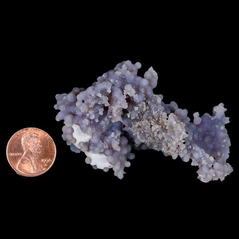 2.8" Purple Grape Agate Botryoidal Crystal Druzy Cluster Mineral Sulawesi Island - Fossil Age Minerals