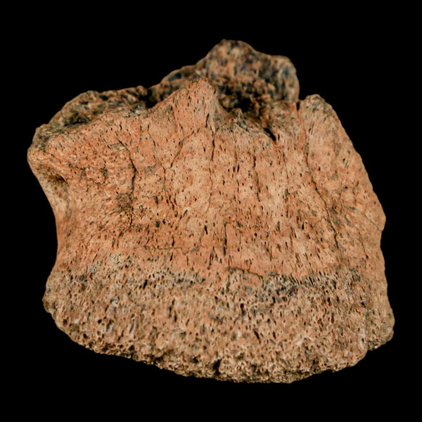 1.4