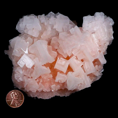 4.7" Quality Pink Halite Salt Crystals Cluster Mineral Trona, CA Searles Lake - Fossil Age Minerals