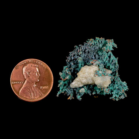 1.4" Rough Native Copper And Crystal Quartz Matrix Mineral Specimen Morocco - Fossil Age Minerals