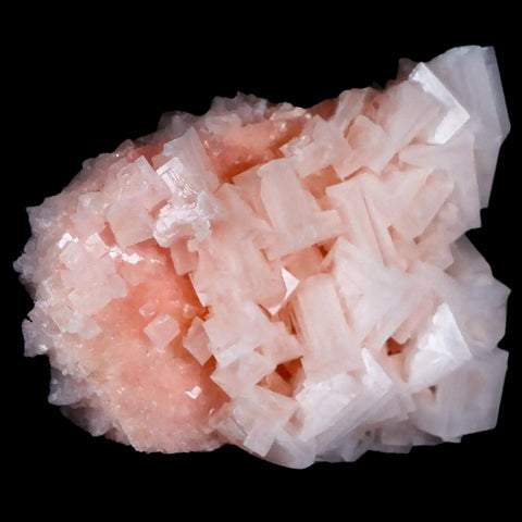 4" Quality Pink Halite Salt Crystals Cluster Mineral Trona, CA Searles Lake - Fossil Age Minerals
